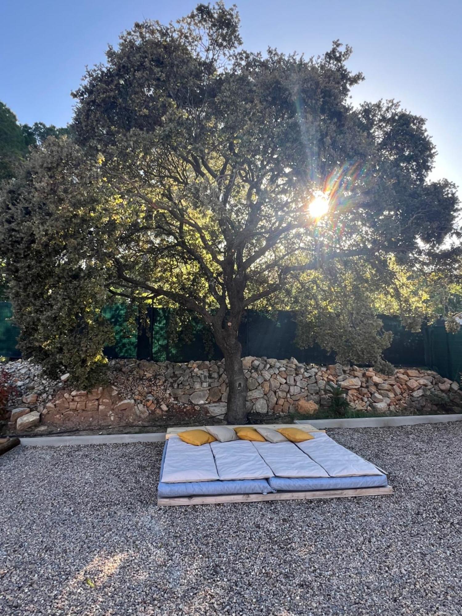 Les Arcs-sur-Argens La Provence Piscine Privee, Petanque Et Barbecueヴィラ エクステリア 写真